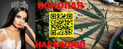 PSILOCYBIN Анапа