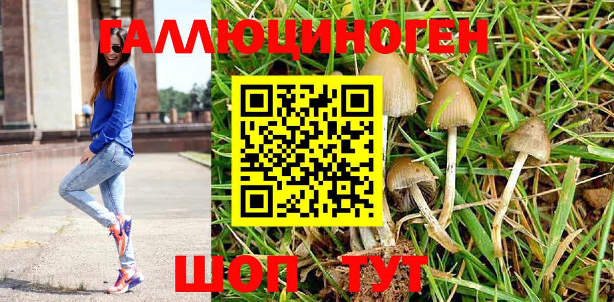 Псилоцибиновые грибы GOLDEN TEACHER Белебей