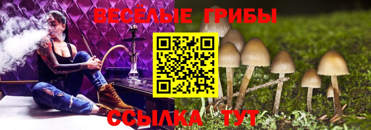 Метамфетамин  Канабис  А ПВП СОЛЬ   МЕФ  Вход с VPN  Мефедрон   Белебей  ГАШ  Cocaine 